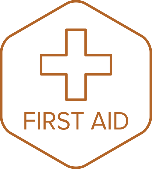 Activities Master, Lifesaver - Sans (500x556)