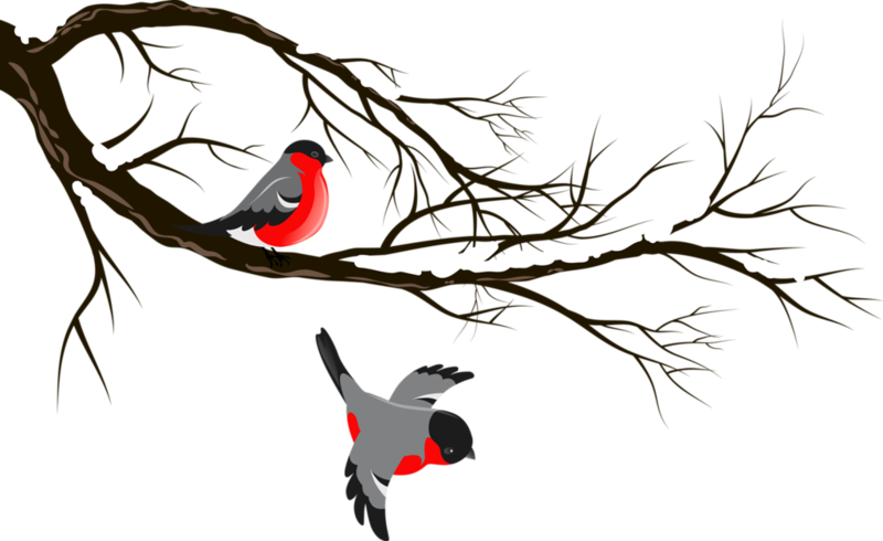 0 C9d48 Aad4347a Xxl - Ona The Presidio Leather Camera Strap (800x490)