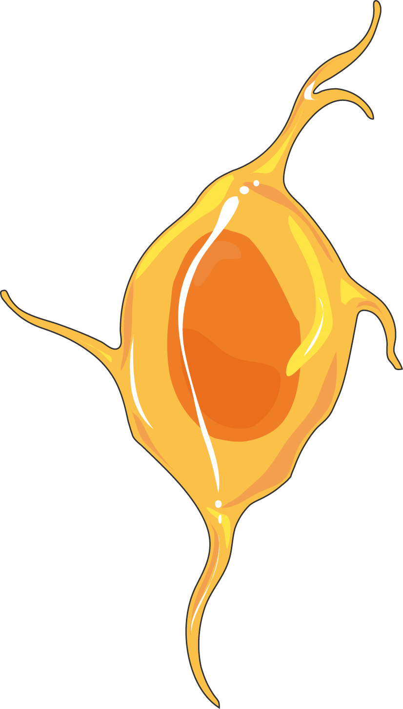 Neurology - Neurology (826x1454)