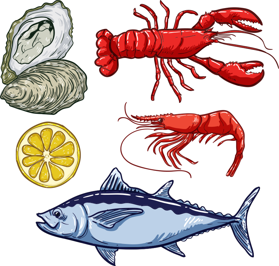 Fish Lobster Seafood Illustration - Portable Network Graphics (898x858)