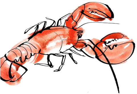 Lobster Seafood Watercolor Painting Drawing Illustration - Lobster Art (564x564)