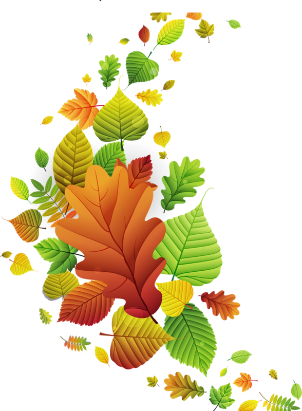 Automne Clipart (588x800)