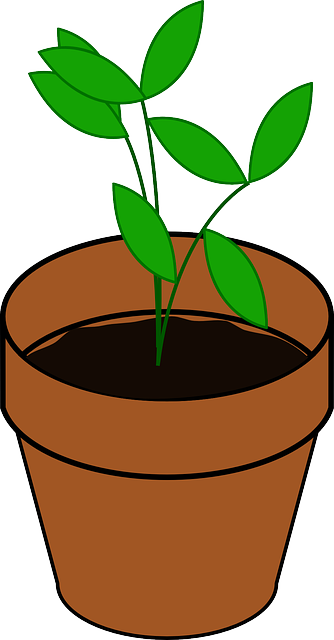 Sapling, Pot, Potted Plant, Brown, Dirt, Green, Grow - Plant Clip Art (334x640)