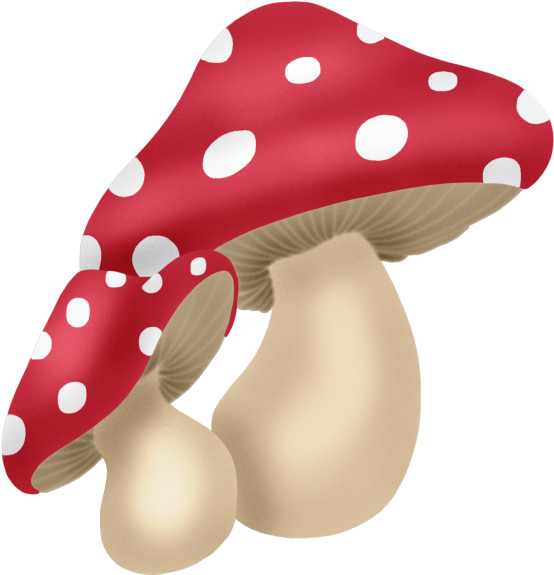 Яндекс - Фотки - Toadstool Clipart (575x600)