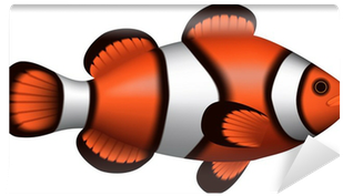 Clipart Of A Clown Fish (400x400)