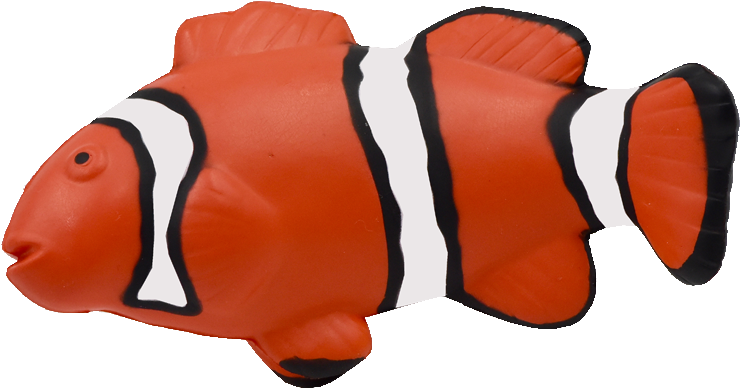 Maf-012 Clown Fish - Coral Reef Fish (843x558)