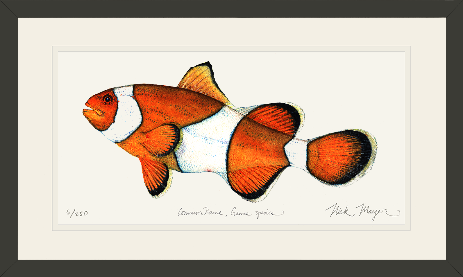 Silver Creek Press 2017 Sea Life Wall Calendar (1700x1103)