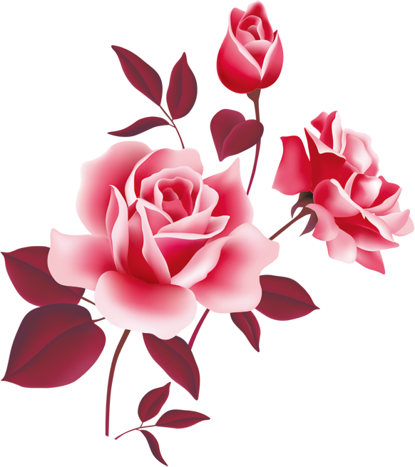 Rose Pink Free Clip Art - Flowers Png Hd (582x655)