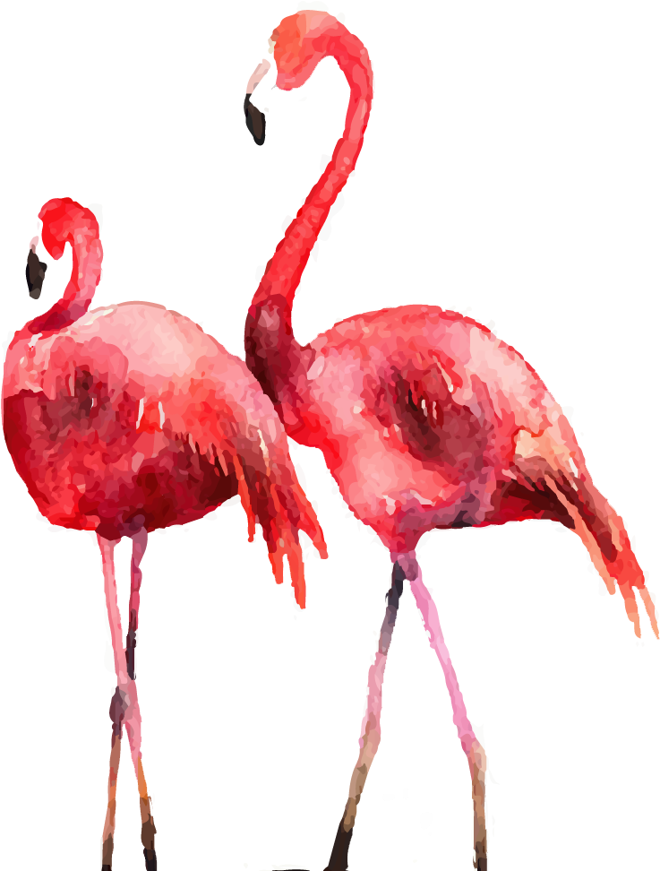 Flamingo Poster Printmaking Illustration - Flamingo Illustration (901x971)