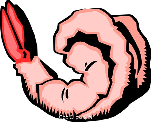 Shrimp Clipart Transparent - Shrimp Clipart Transparent Background (480x389)