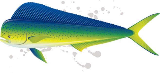Big Green Sea Fish (658x300)