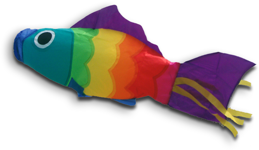 51113 Windsock Rb Fish Poisson Vis - Poisson Arc-en-ciel Manche À Air Didakites (1000x703)