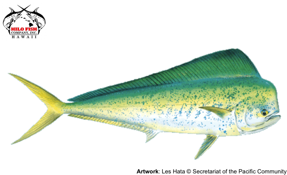 Mahimahi - Mahimahi (1000x605)