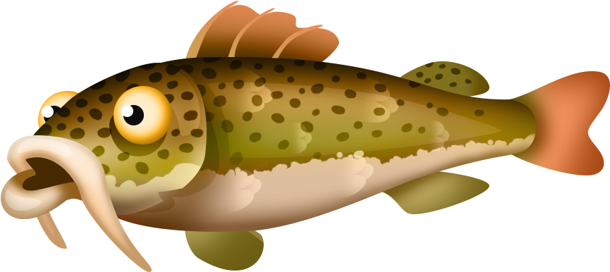 Red-tailed Catfish - Hay Day Catfish (1054x734)
