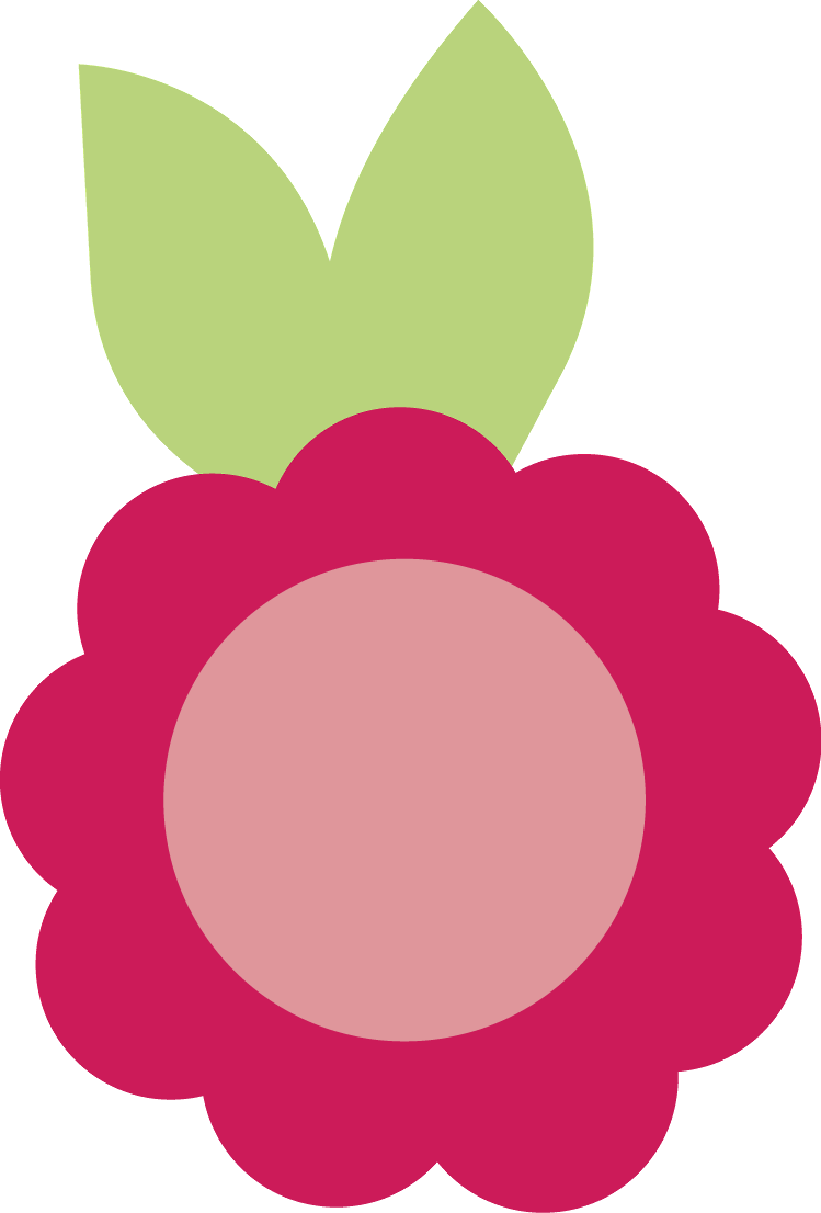 Joaninha - Minus - Ladybird Beetle (749x1106)