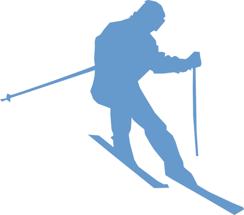 Racehorse Silhouette - Ski Png (500x441)