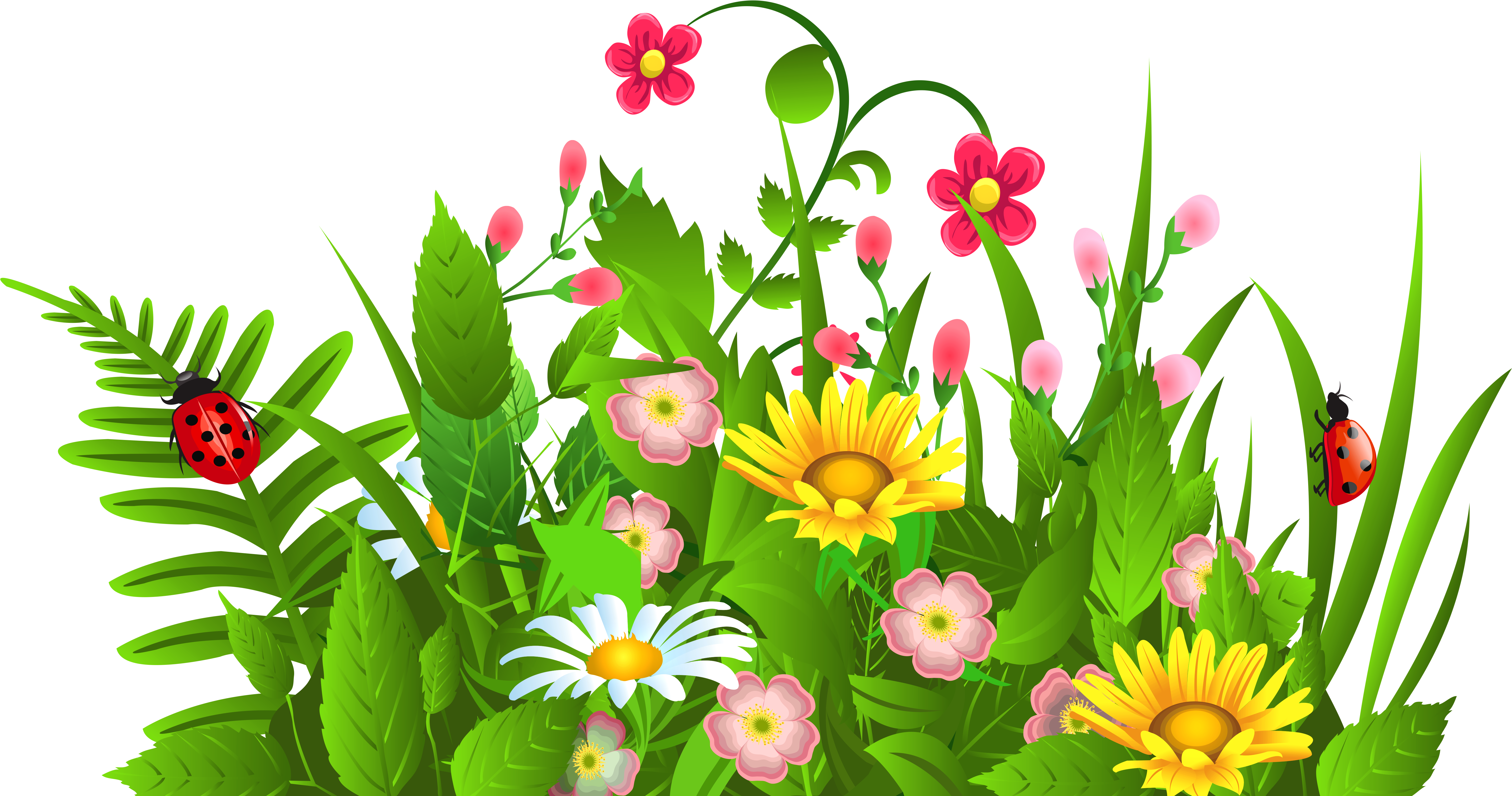 Clipart Of Spring, Flowers And Flower - Clip Art (6287x3328)