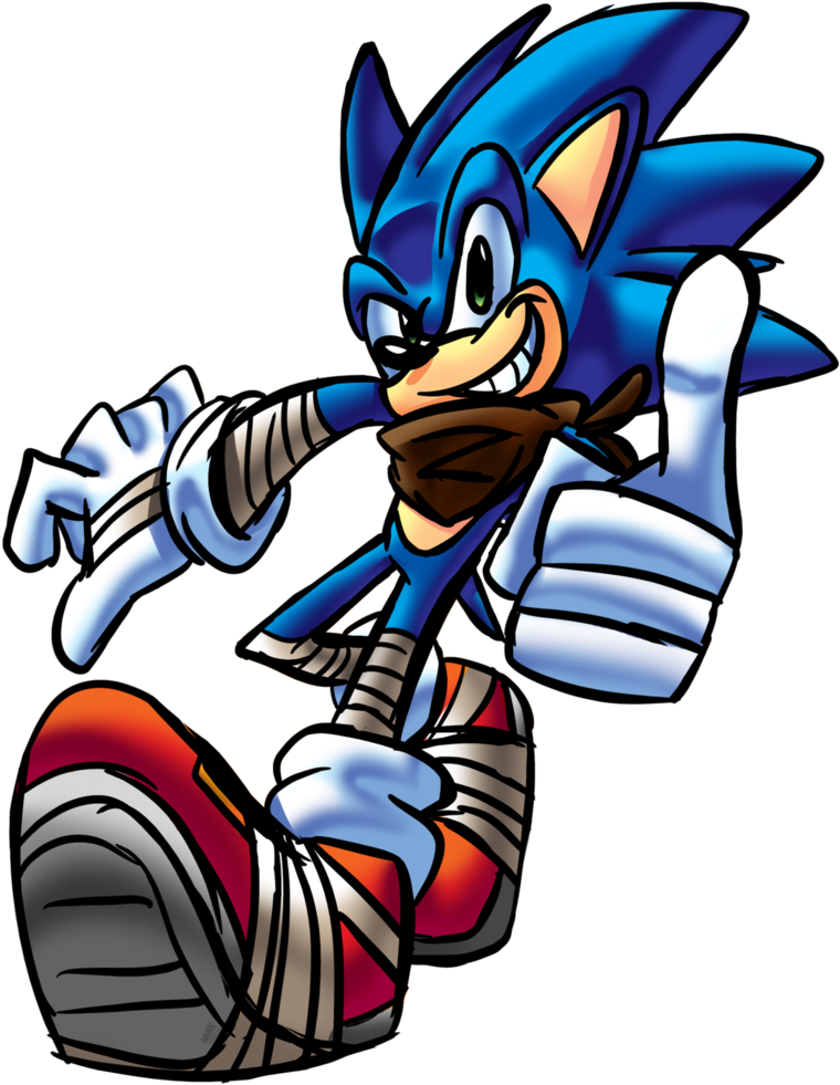 Sanic Bum By Heroart110 - Hedgehog (785x1017)