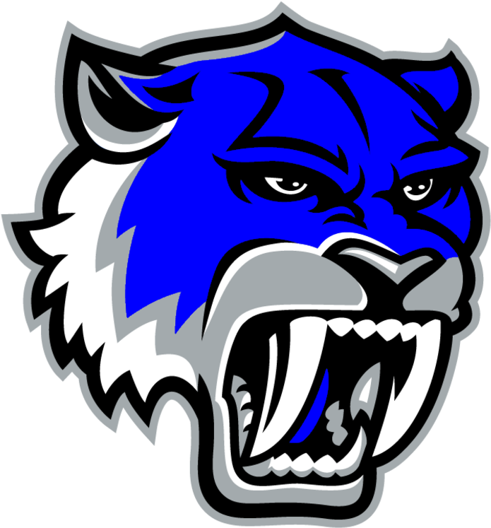 Robert Vela High School Logo (720x768)