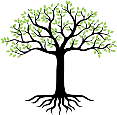 About Intro Image - Emotionally Healthy Leader By Mr Peter Scazzero (400x400)