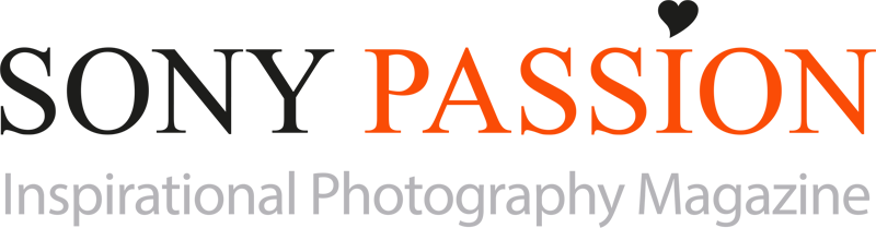 Subscribe To Our Newsletter - 1936 Classic Throw Blanket (800x209)