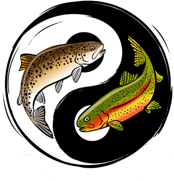 Trout Fishing - Tenkara Fishing (457x378)