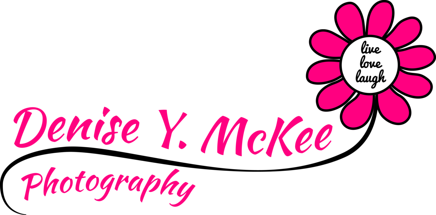 Denise Mckee Photography - Calligraphy (1440x711)