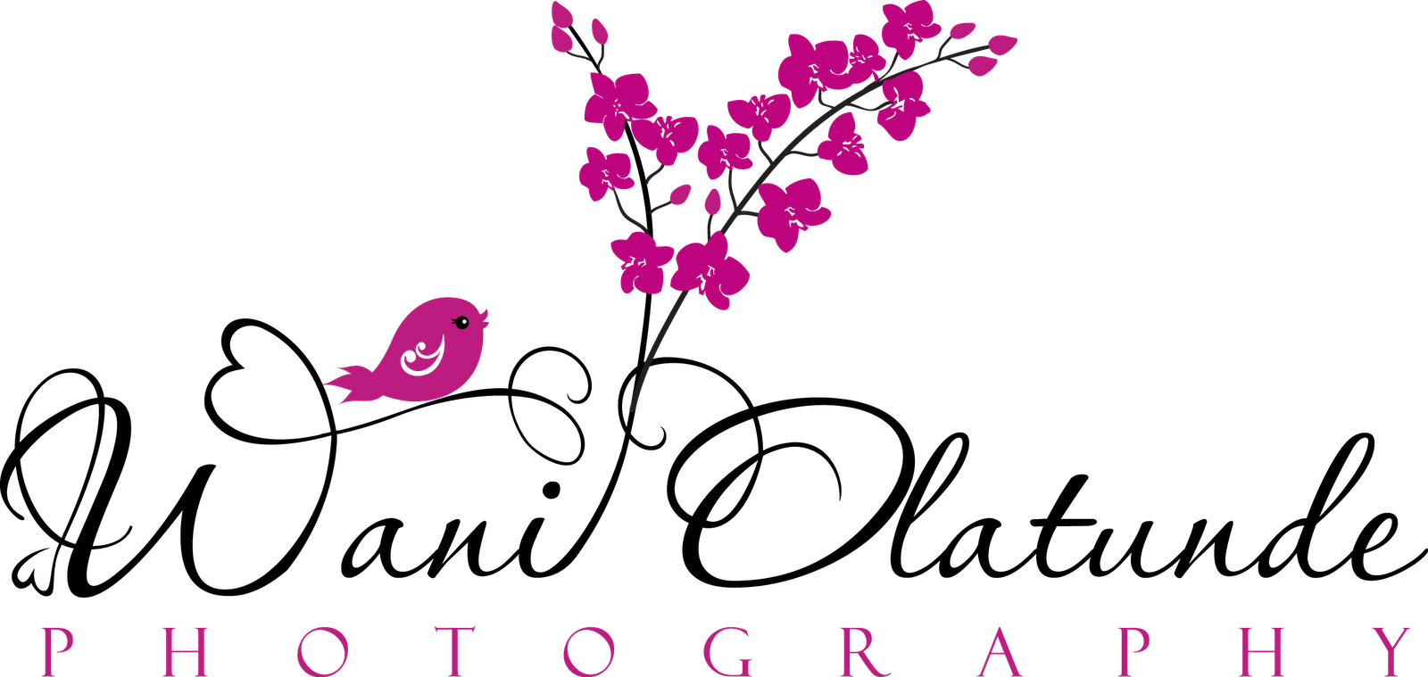 Wani Olatunde Photography Specialises In Wedding, Portrait, - Wallpaper (1600x759)