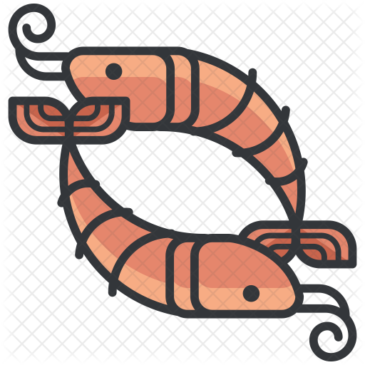 Shrimp Icon - Shrimp (512x512)