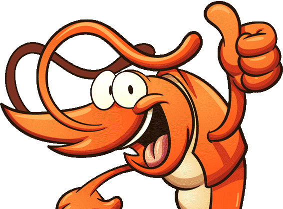 X - Shrimp Cartoon (567x418)