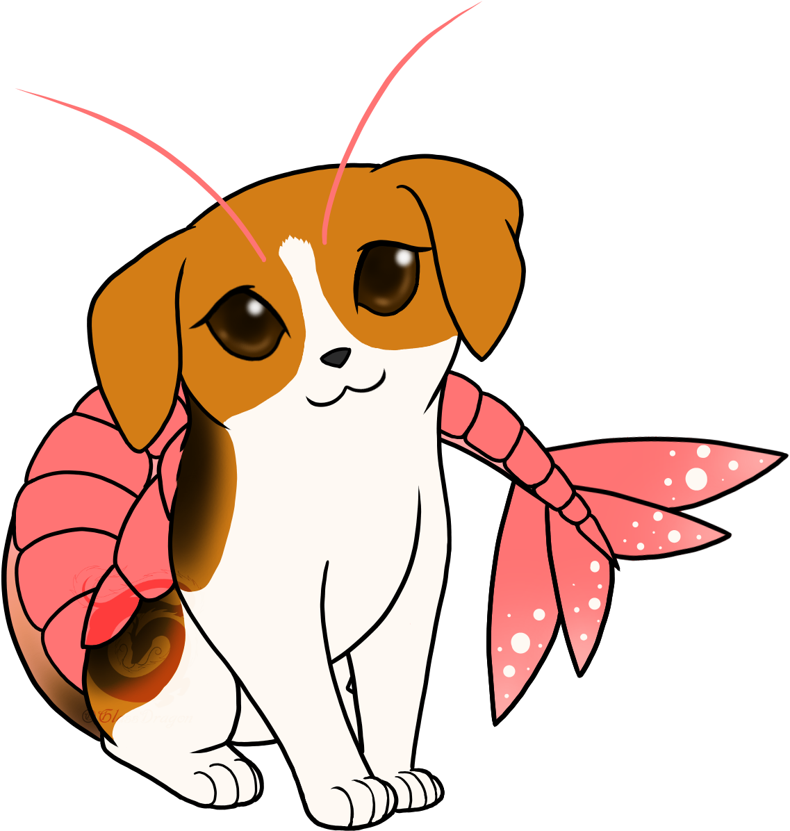Shrimp-puppy - Dog Breed (1280x1320)