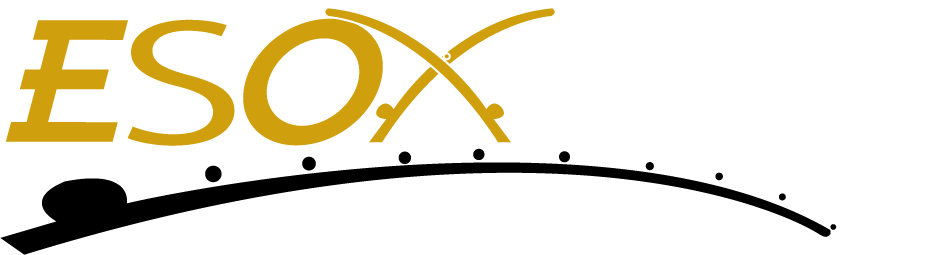 Esox Marketing Materials Esox Fishing Rods - Fishing Rod Vektor Design (937x255)