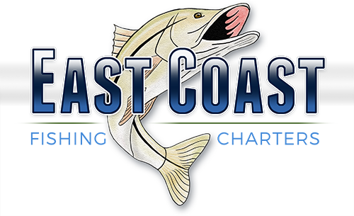 East Coast Fishing Charters Melbourne, Sebastian, And - East Coast Fishing Charters (500x305)