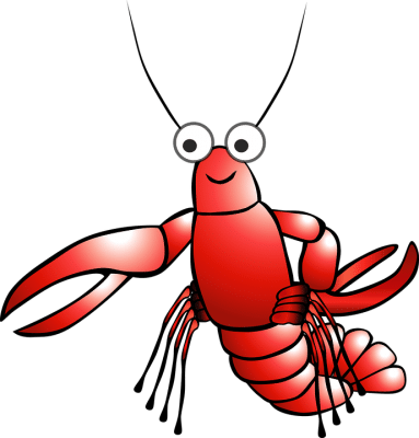 Daily Whale Watching Trips & Lobster Hooping Too - Clip Art (383x400)