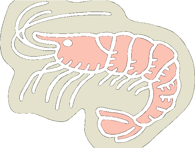 Shrimp Clipart Shell Fish - 3drose Fl_39583_1 Baby Pink Shrimp Garden Flag, 12 (640x480)