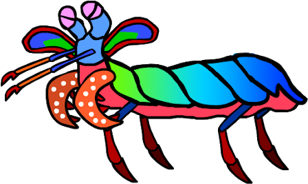 The Gallery For > Peacock Mantis Shrimp Drawing Peacock - The Gallery For > Peacock Mantis Shrimp Drawing Peacock (640x426)
