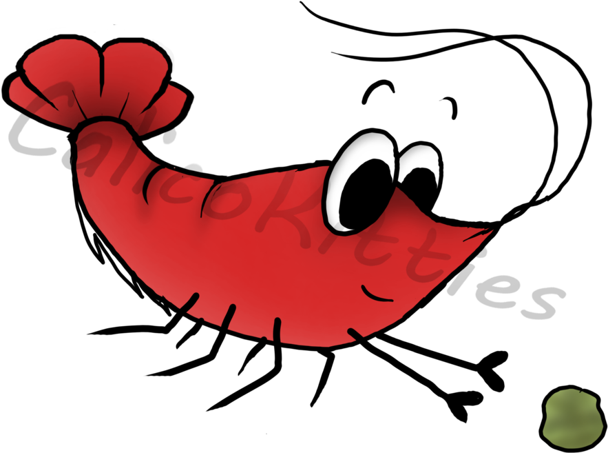 Cherry Shrimp By Calicokitties - Shrimp (1024x768)