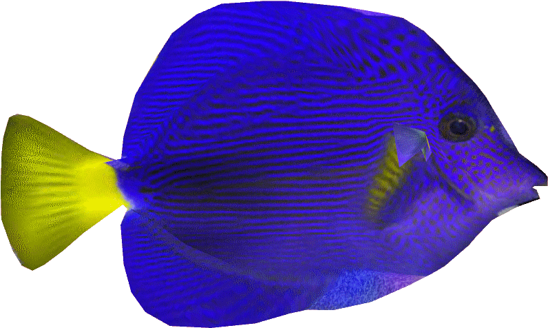 Purpletangdd - Wiki (821x821)