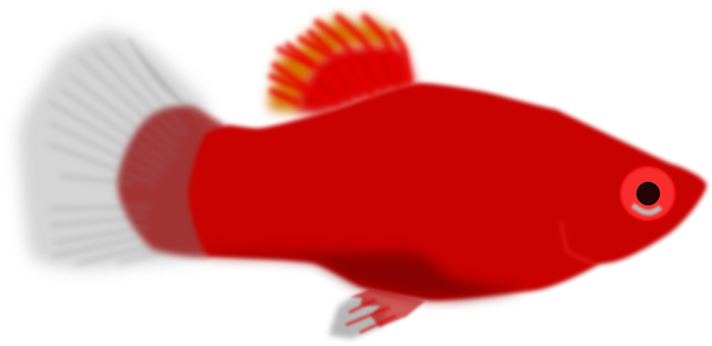 Red, Small, Cartoon, Little, Fish, Animal, Aquarium - Red Fish Clip Art (640x320)