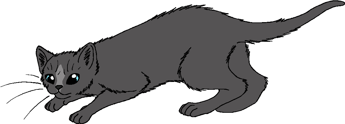Silvermask - Warrior Cats Mosspaw Shadowclan (1176x482)