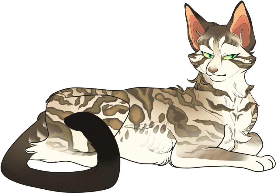 Warrior Cats, Big Cats, Cat Art, Chibi, Sketchbooks, - Abyssinian (1024x683)