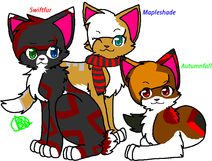 Whenever Mapleh Wants It To Be - Draw A Warrior Cat Easy (818x637)