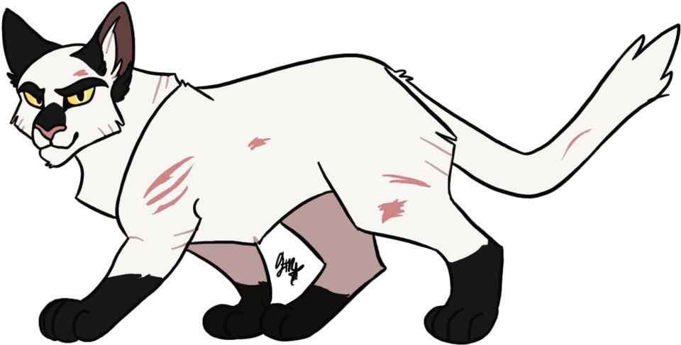 100 Warrior Cats Challenge - Blackstar (1024x565)