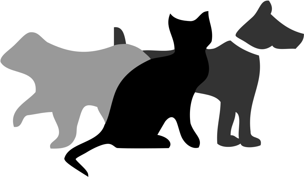 File - Wikiproject - Warriors - Svg - Myths And Truth About Animals (1024x592)