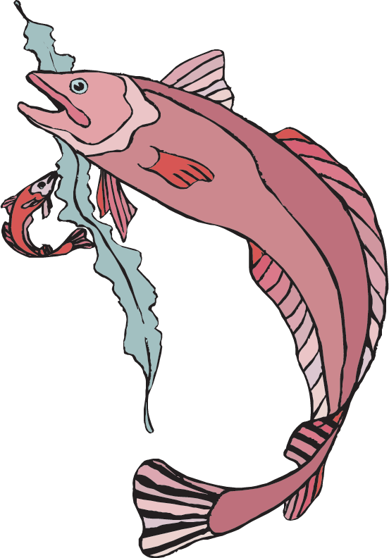 Identify Fish From Idaho, The Surrounding States, And - Identify Fish From Idaho, The Surrounding States, And (552x792)