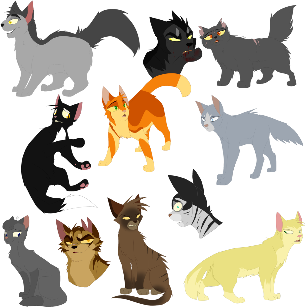 Warrior Cat Batch 1 By Doughwolf - Warrior Cats Cat Design (1024x1024)