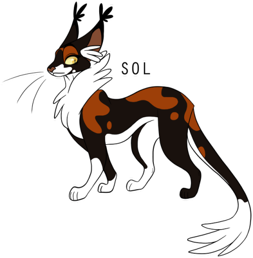100 Warrior Cats Challenge Day - Warriors Sol Design (500x510)