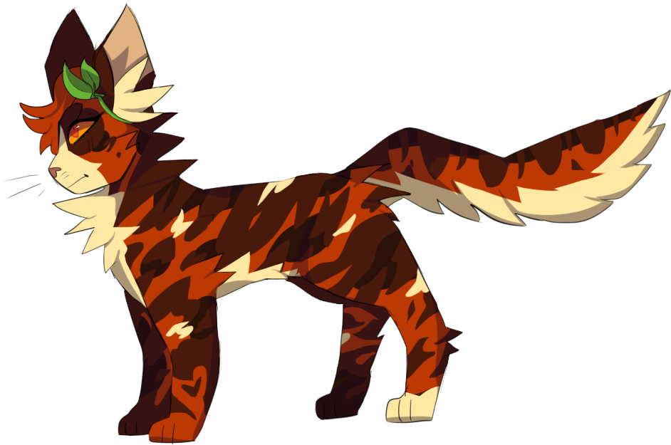 Cat - Jackal (972x646)