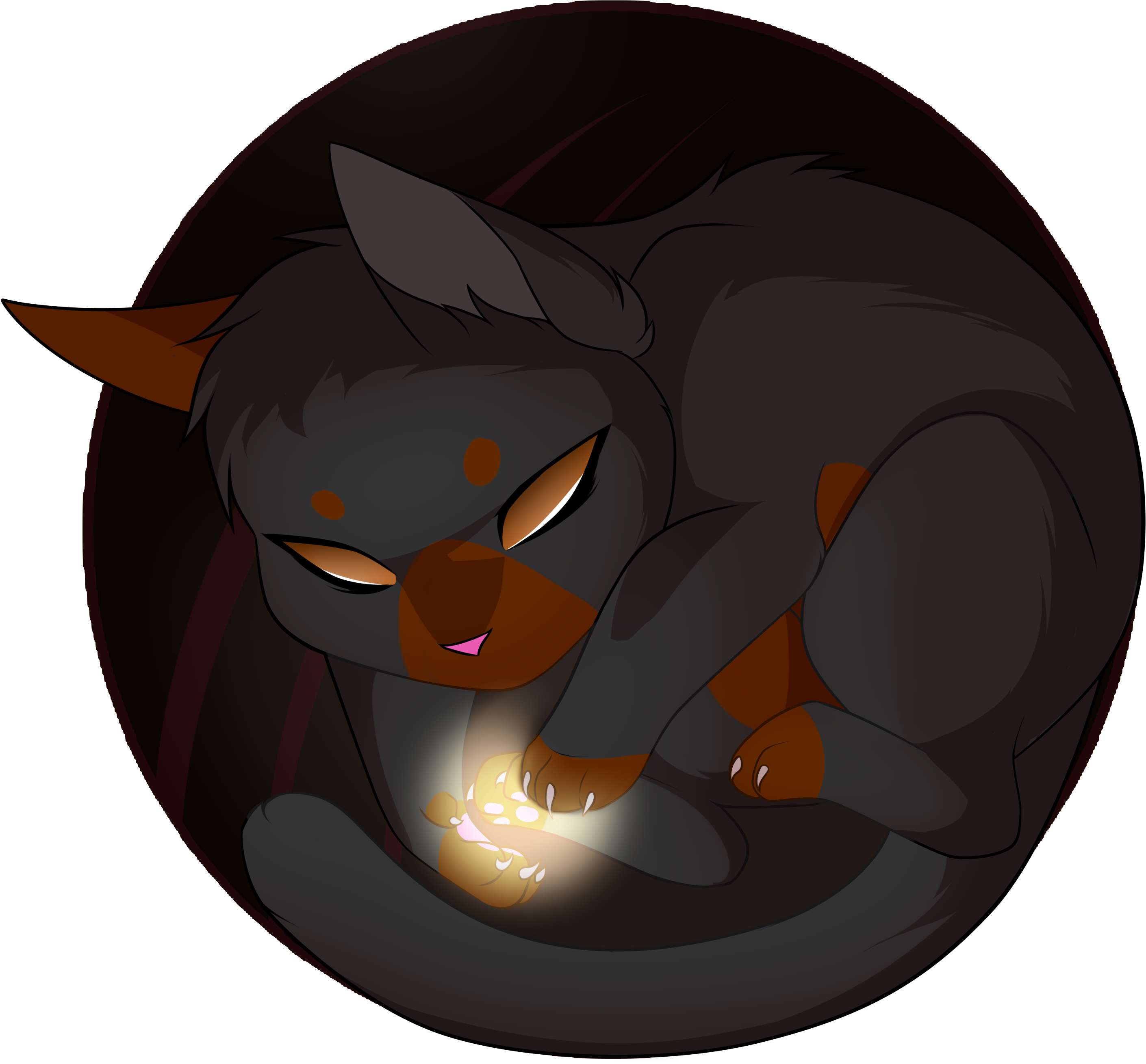 Details - Black Cat (3000x3000)