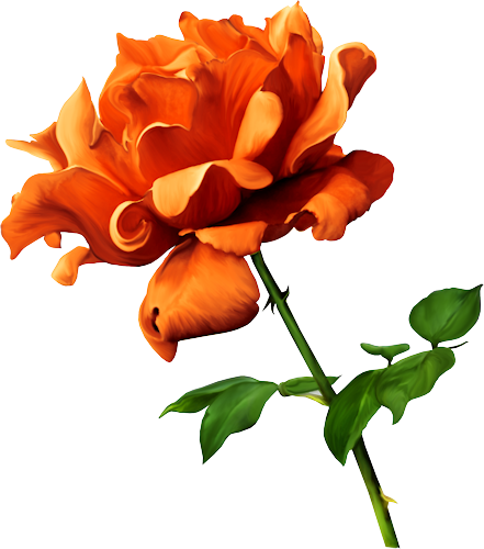 Roses,pink,roze,rosa, - Marienkäfer-fee Auf Roten Rosen Karte (441x500)